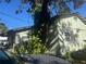 Side view of a light green house with lush foliage at 1608 S 45Th St, Tampa, FL 33619