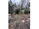 Backyard with overgrown vegetation and wooden deck at 2733 34Th N Ave, St Petersburg, FL 33713