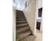 Carpeted staircase leading to the upper level at 7211 Waycross Ave, Tampa, FL 33619