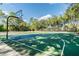 Multi-purpose court with basketball hoop and volleyball net at 9481 Highland Oak Dr # 807, Tampa, FL 33647