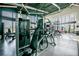 Well-equipped fitness center with strength training machines at 2409 Hearth Dr, Odessa, FL 33556