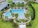 Relaxing pool area with plenty of lounge chairs and palm trees at 2409 Hearth Dr, Odessa, FL 33556