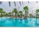 Expansive community pool surrounded by palm trees at 2409 Hearth Dr, Odessa, FL 33556