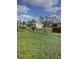 Large backyard with grass and a wooden fence at 404 13Th Sw St, Ruskin, FL 33570