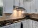Modern kitchen with stainless steel appliances and granite countertops at 4709 Corsage Dr, Lutz, FL 33558