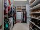 Spacious walk-in closet with custom shelving and hanging rods at 4709 Corsage Dr, Lutz, FL 33558