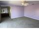 Primary bedroom with lavender walls and gray carpet at 10 Golfview S Rd, Rotonda West, FL 33947