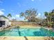 Sparkling pool with surrounding yard at 1517 Young Ave, Clearwater, FL 33756