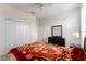 Bright bedroom with double bed, dresser, and large closet at 529 Vista Ridge Dr, Ruskin, FL 33570