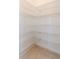 Walk-in pantry with ample shelving for storage at 13419 Lake Monroe Pl, Riverview, FL 33579