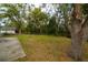 Large backyard with mature trees and grassy area at 2906 Martha Ln, Land O Lakes, FL 34639