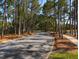 Tree-lined community road leading to waterfront at 3077 Branch, Clearwater, FL 33760