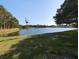 Serene lake view with lush green grass and trees at 3077 Branch, Clearwater, FL 33760