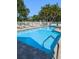 Community pool with lounge chairs and white fence at 3077 Branch, Clearwater, FL 33760