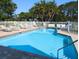 Community pool with lounge chairs and white fence at 3077 Branch, Clearwater, FL 33760