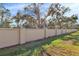 Backyard with grassy area and tall wall at 4950 Pond Ridge Dr, Riverview, FL 33578