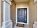 Dark gray front door with a glass panel and welcome mat at 4950 Pond Ridge Dr, Riverview, FL 33578