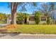 Front yard view of the house, showcasing landscaping and driveway at 4704 W Chapin Ave, Tampa, FL 33611