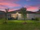 Serene backyard view of the home at sunset at 12626 Tahitian Pearl Cir, Parrish, FL 34219