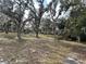 Spacious lot with mature oak trees and grassy area at 1319 Vance Rd, Plant City, FL 33566