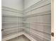 Large pantry with wire shelving offering ample storage at 13307 Fawn Lily Dr, Riverview, FL 33579