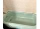 Light teal bathtub in well-maintained bathroom at 3148 Harvardston Loop, Holiday, FL 34691