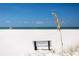 Beachfront view with bench and sea oats at 6000 51St S St, St Petersburg, FL 33715