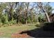Spacious backyard with mature trees at 7108 Saint Andrews Ln, Sarasota, FL 34243
