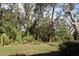 Wooded backyard with lush landscaping at 7108 Saint Andrews Ln, Sarasota, FL 34243