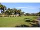 Golf course with palm trees and well-manicured greens at 12200 Vonn Rd # 2109, Largo, FL 33774