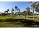 Landscaped golf course with palm trees and lush greens at 12200 Vonn Rd # 2109, Largo, FL 33774