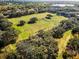 Aerial view of soccer field at 1597 Franklin Way, Dunedin, FL 34698