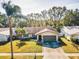 House with a driveway and a palm tree in the front yard at 1597 Franklin Way, Dunedin, FL 34698