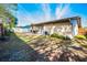 Spacious backyard with a patio, grass, and mature trees at 1597 Franklin Way, Dunedin, FL 34698