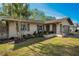 Landscaped front yard with palm trees and well-maintained lawn at 1597 Franklin Way, Dunedin, FL 34698