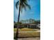 House with palm tree and a front yard at 1597 Franklin Way, Dunedin, FL 34698