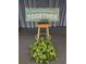 Inspirational sign with a plant, adding charm to the space at 3562 90Th N Ter, Pinellas Park, FL 33782