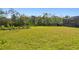 Large grassy backyard with a privacy fence at 5418 Wayfarer Ave, Apollo Beach, FL 33572