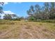 Aerial view of property with large lot and mature trees at 10809 Bartolotti Loop, Seffner, FL 33584