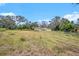 Large backyard with overgrown grass at 10809 Bartolotti Loop, Seffner, FL 33584
