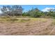 Vacant lot with mature trees and vegetation at 10809 Bartolotti Loop, Seffner, FL 33584