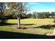 Spacious grassy backyard with mature trees and distant homes at 11021 Edge Park Dr, Hudson, FL 34667