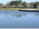Serene pond view with golf course and houses in the background at 11021 Edge Park Dr, Hudson, FL 34667