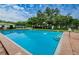 Community swimming pool at 11805 Northtrail Ave, Temple Terrace, FL 33617