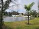Community pond with fountain and palm trees at 14130 Rosemary Ln # 6214, Largo, FL 33774