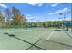 Two tennis courts with shade structures and fencing at 15904 Wainwright Ct, Tampa, FL 33647