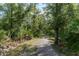 Paved nature trail winding through lush greenery at 18133 Aero Ave, Land O Lakes, FL 34638