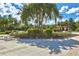 Inviting pool deck with lounge chairs and palm trees at 20314 Chestnut Grove Dr, Tampa, FL 33647