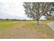 Expansive golf course with lush greens and mature trees at 2438 Sifield Greens Way # 44, Sun City Center, FL 33573