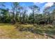 Wooded backyard with a picnic table at 25888 Whipperwill St, Brooksville, FL 34601